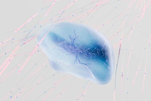 Cognitive Impact of 3D Visualization